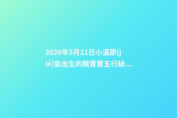 2020年5月21日小滿節(jié)氣出生的豬寶寶五行缺什么？怎么化解？ 84年5月21日五行屬什么，1984年屬鼠的五行屬什么